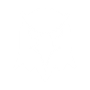 dexscreen